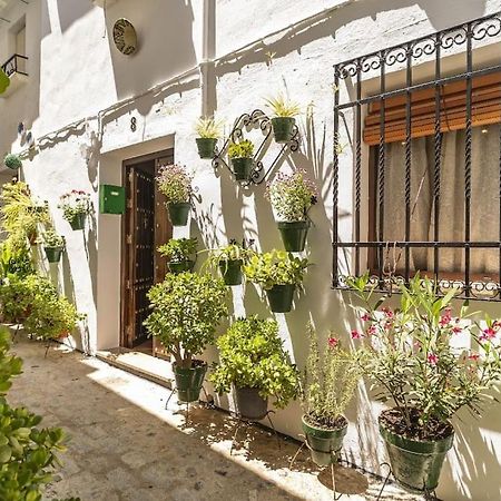 Casa Con Patio Y Terraza En Barrio Historico De La Villa, Junto Al Adarve ปรีเอโก เด กอร์โดบา ภายนอก รูปภาพ