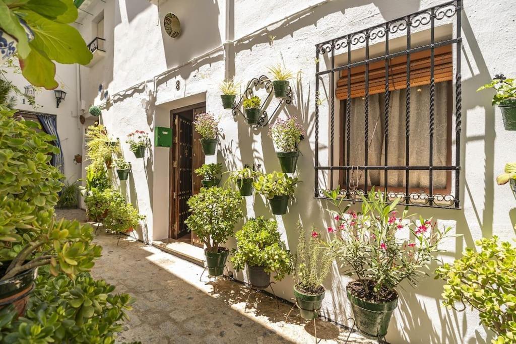 Casa Con Patio Y Terraza En Barrio Historico De La Villa, Junto Al Adarve ปรีเอโก เด กอร์โดบา ภายนอก รูปภาพ